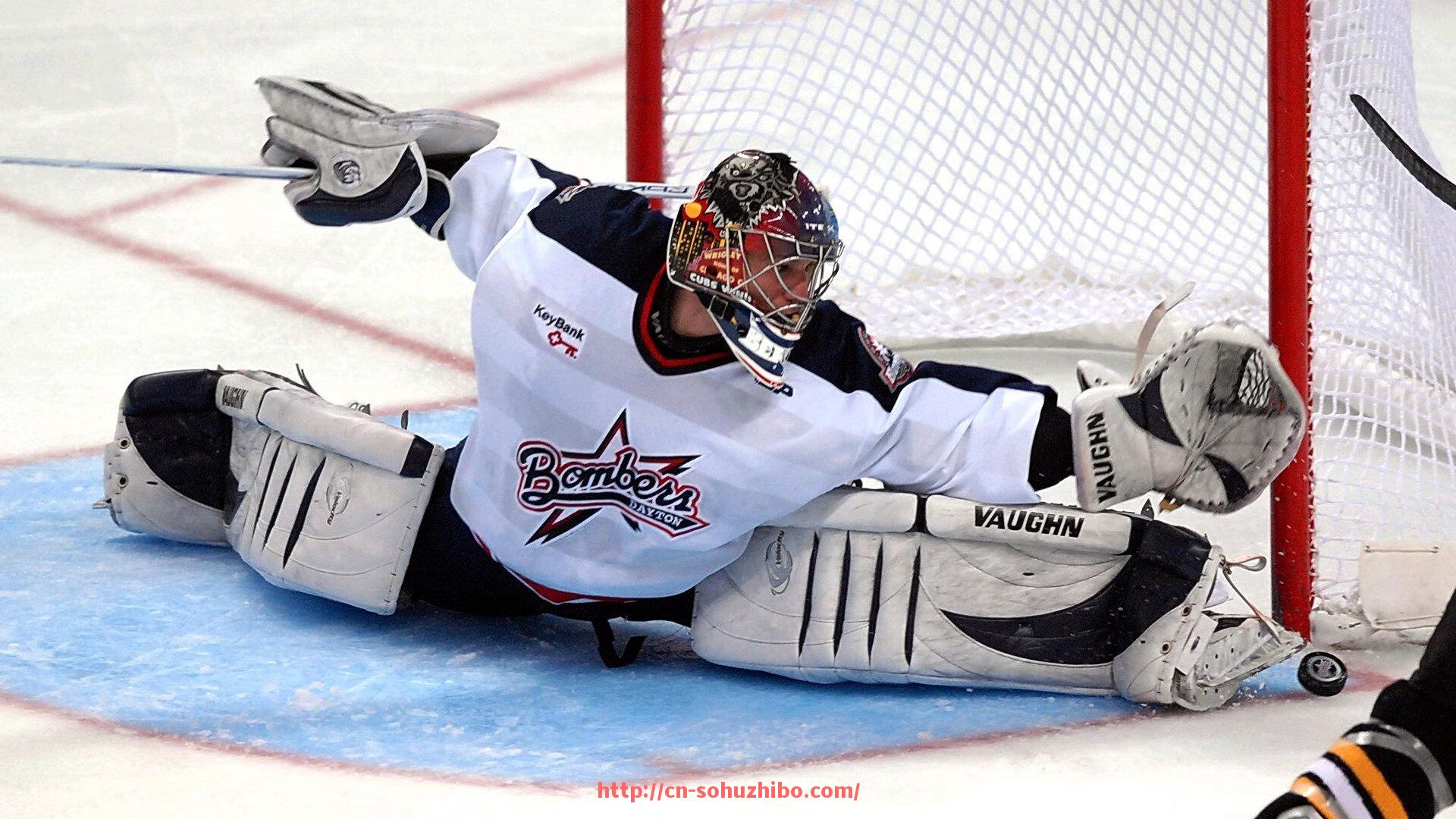 搜狐体育直播-雨燕直播意甲球队:如何通过雨燕直播观看意甲球队的比赛