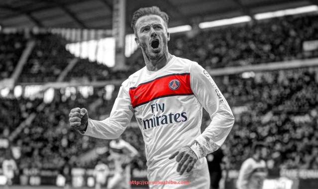 搜狐体育直播-中超联赛当前各支球队排名榜与胜率对比