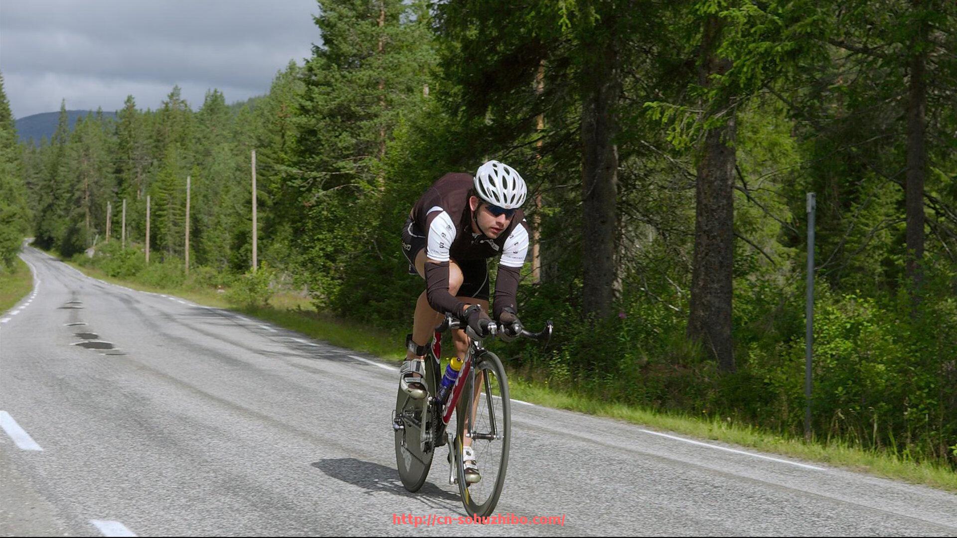 搜狐体育直播-国王队打破多年季后赛荒后的表现是否可持续